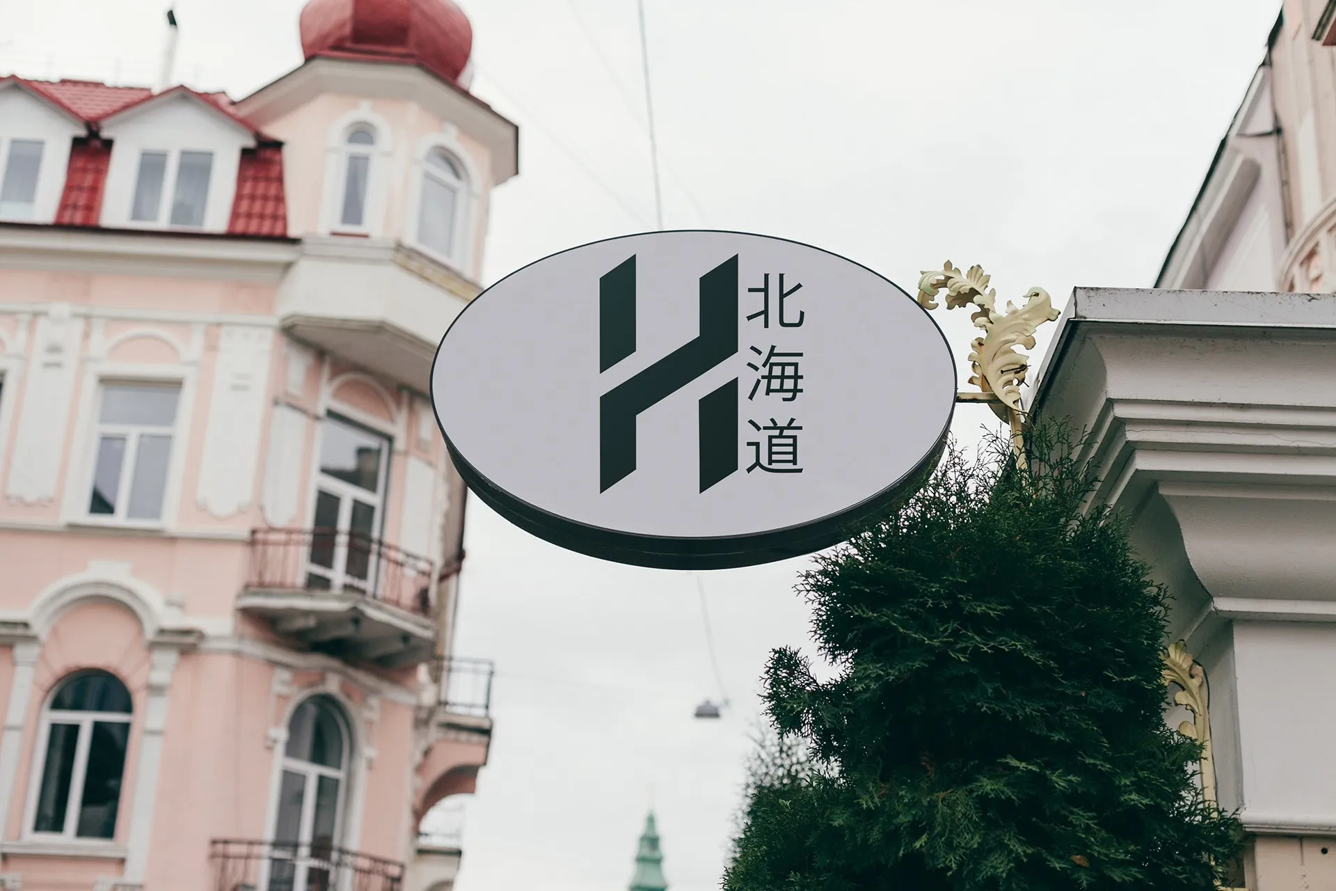 Educational Project 36